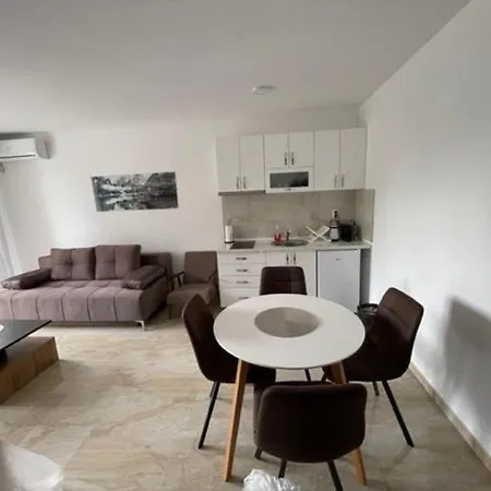 Zivkovic Apartment Veliko Gradiste