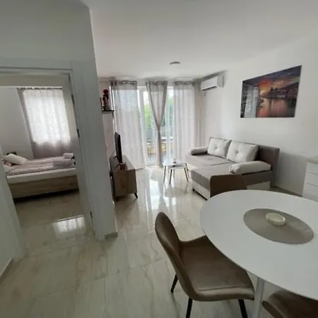 Zivkovic Apartment Veliko Gradiste