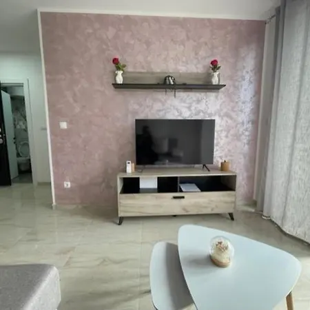 Apartment Zivkovic *